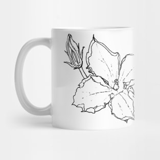 Zucchini Blossom Botanical Drawing Mug